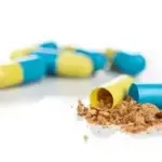 STEFFI BRISCH - Darmbakterien