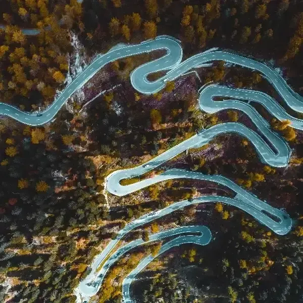 Steffi Brisch - Darmsanierung